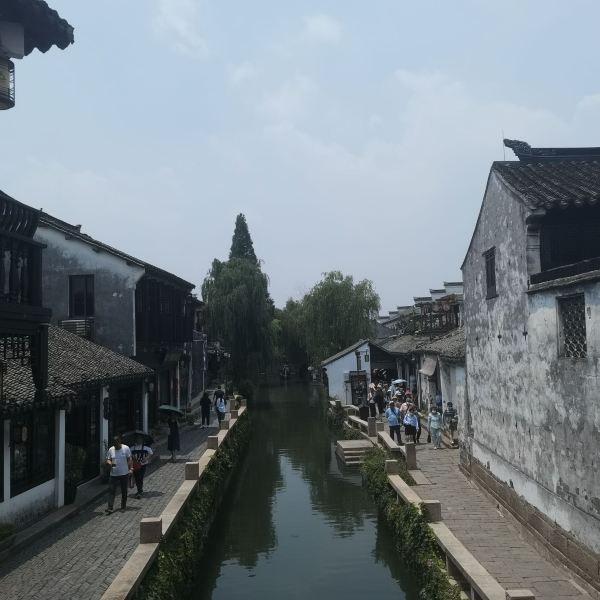 逃出小象森林
